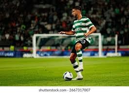 租借费200万欧+今夏2500万欧强制买断 罗马签下维拉前锋马伦