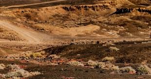 交流融洽！开拓者晒杨瀚森与昔日状元奥登合照